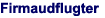 Firmaudflugter